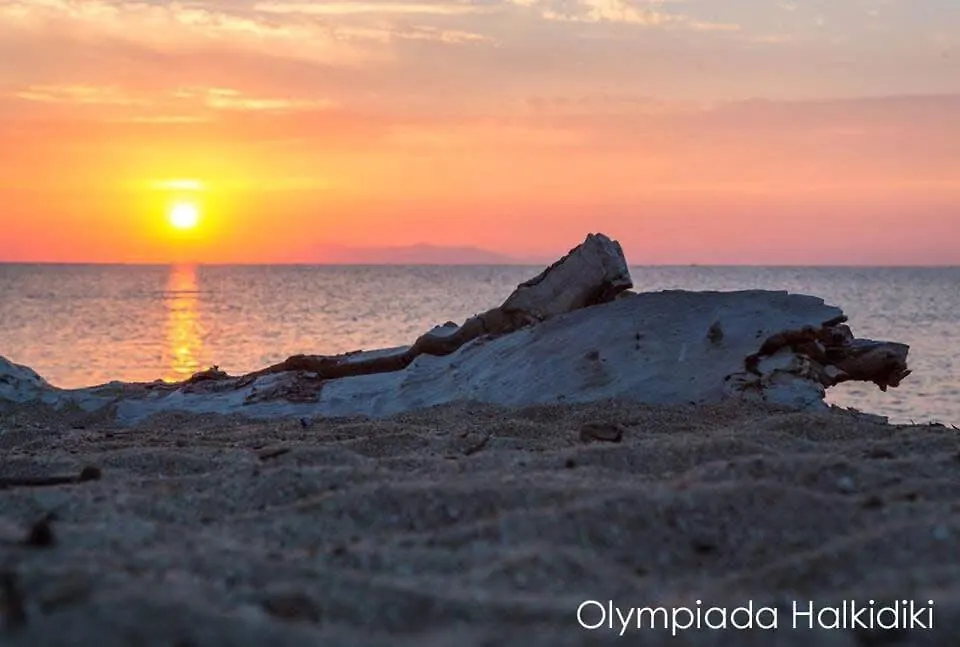 Appartamento Semeli Ancient Stagira 4 Apts Chalkidiki Olympiada