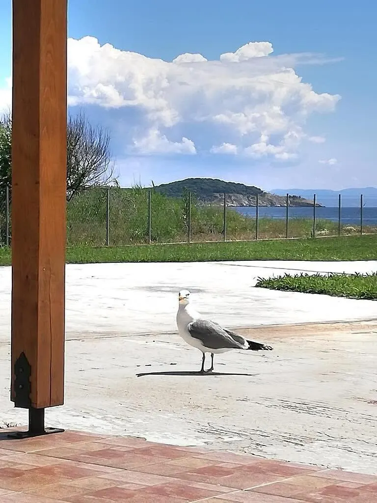 Appartamento Semeli Ancient Stagira 4 Apts Chalkidiki Olympiada